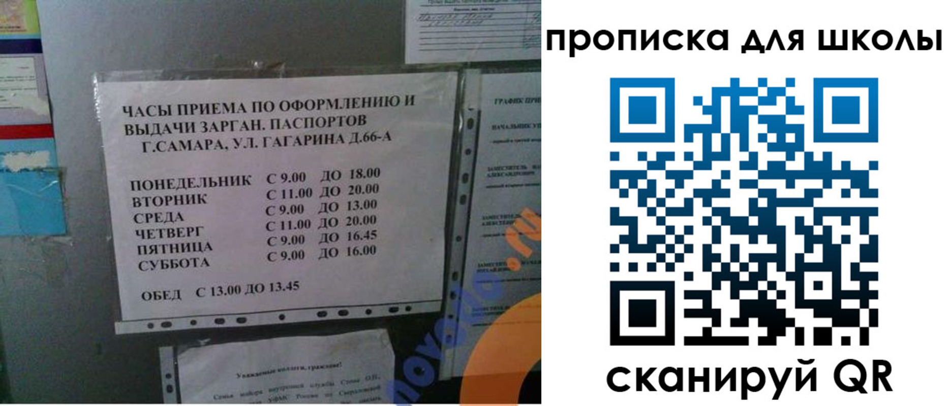 где прописаться в Чкаловске